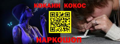 крисы Новозыбков