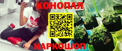 стафф Обь