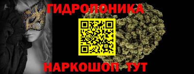 крисы Новозыбков
