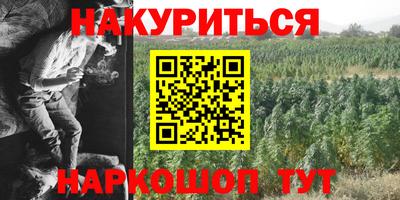 крисы Новозыбков